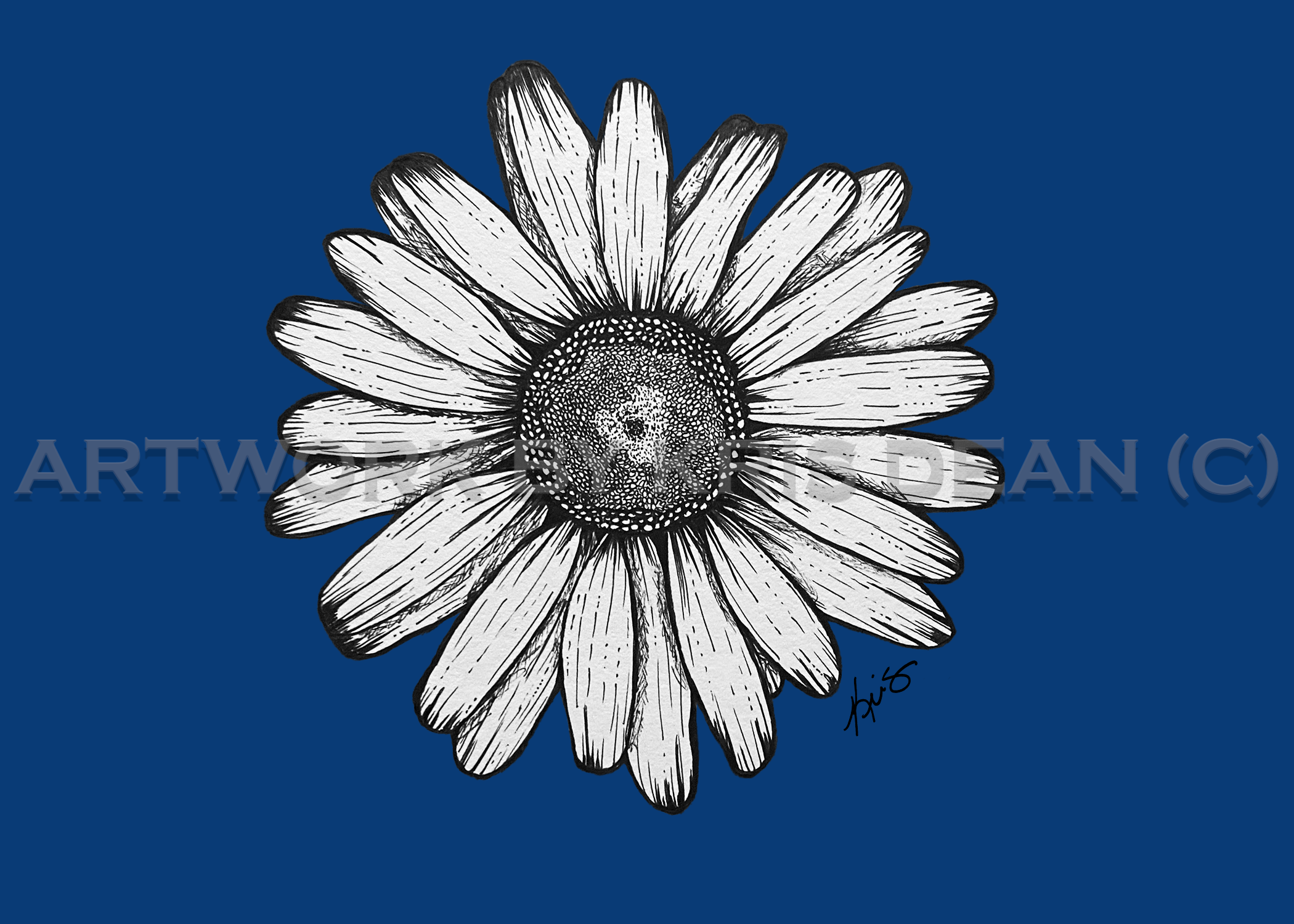 Blue Daisy — Kris' Artworks